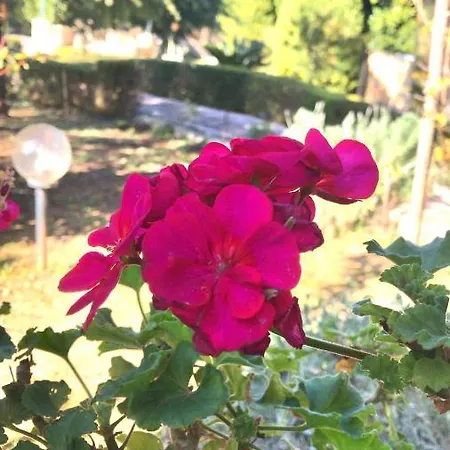 Villa Ioanna Katsíngrion Buitenkant foto