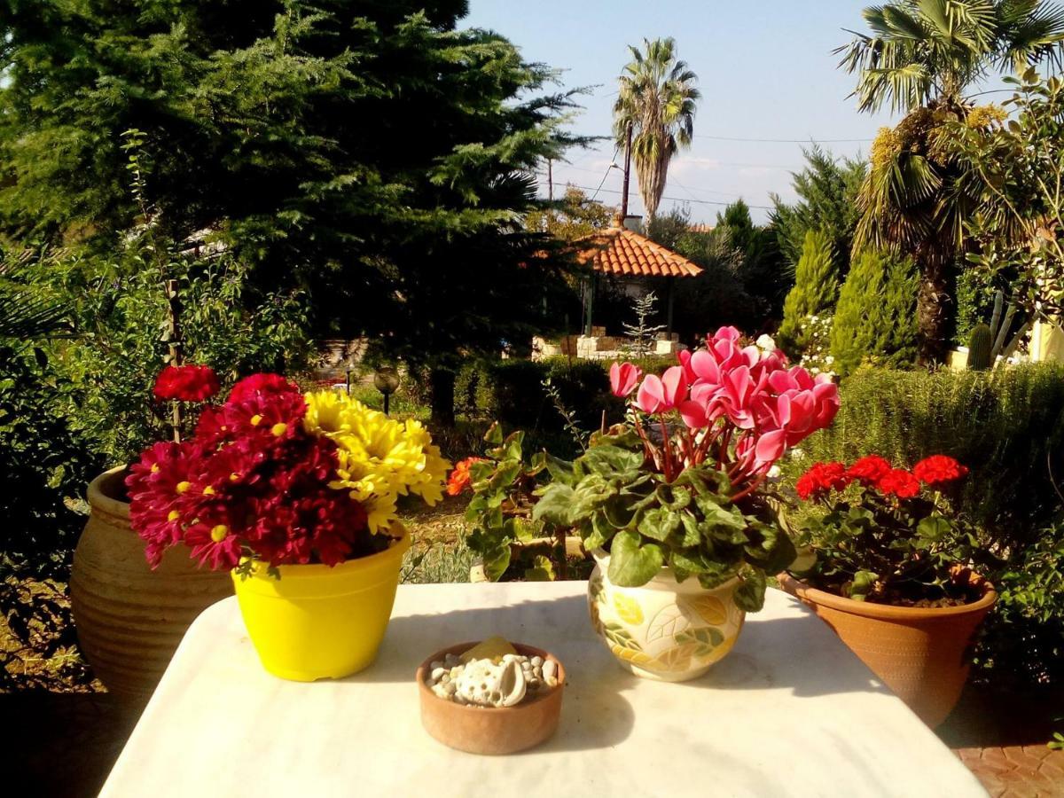 Ioanna Holiday home *